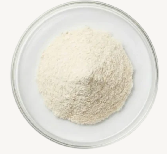 Lactobacillus Acidophilus (Probiótico)