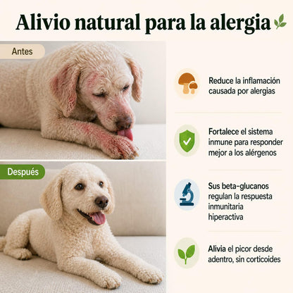 Suplemento para Perros con Refuerzo Inmunológico