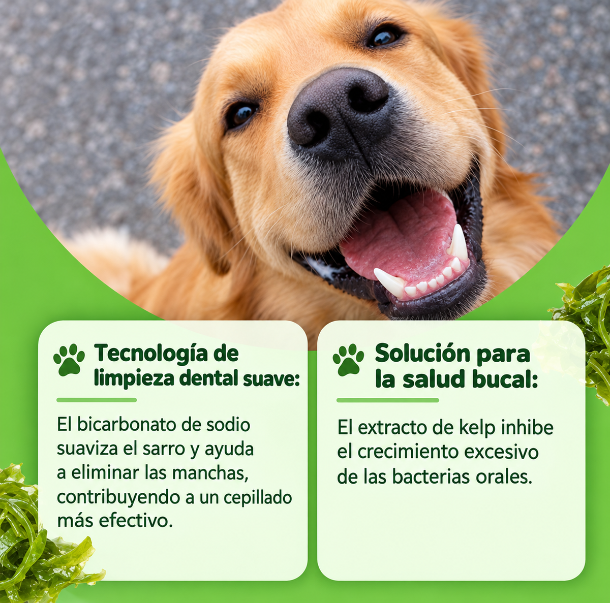 YEGBONG Polvo Dental® | Cuidados Bucal Canino