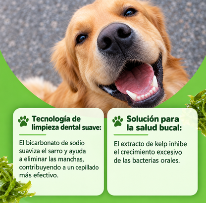 YEGBONG Polvo Dental® | Cuidados Bucal Canino