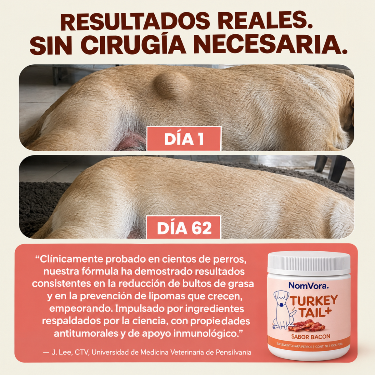 Suplemento para Perros®  |  Refuerzo Inmunológico Natural